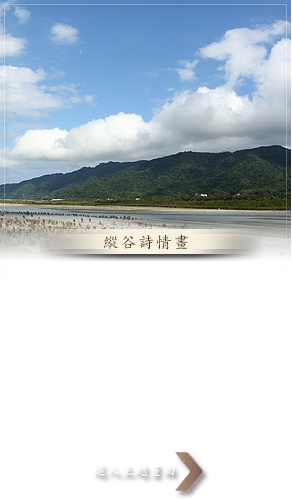 縱谷詩情畫